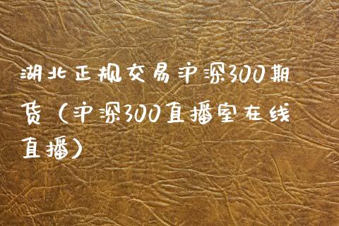 湖北正规交易沪深300期货（沪深300直播室在线直播）_https://www.baiyinzbj.com_期货直播间_第1张